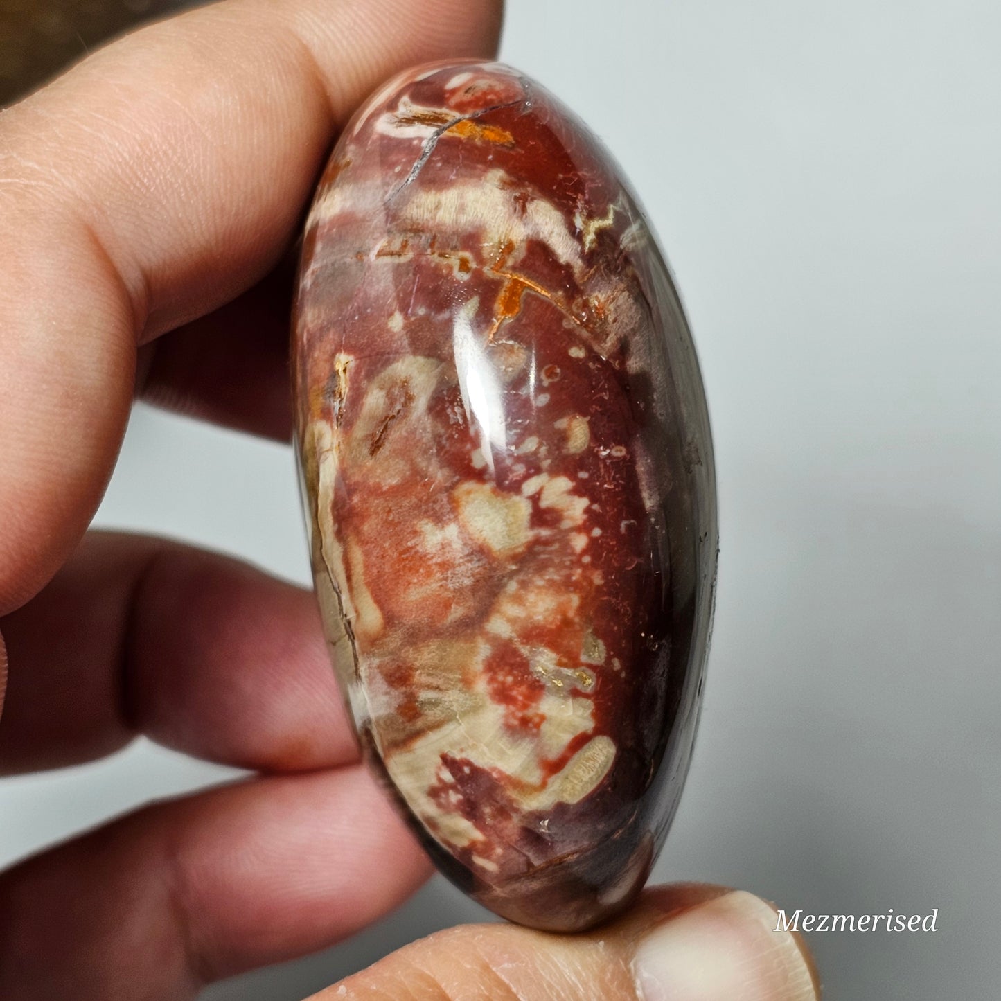 Petrified Wood Palm Stone | A