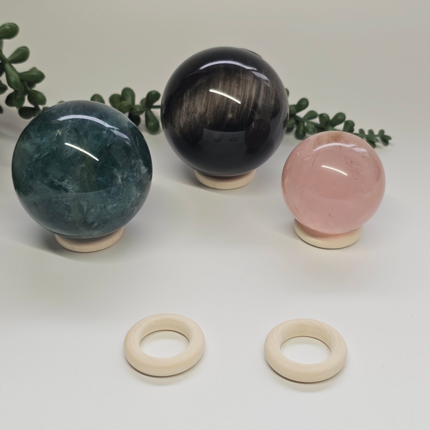 Medium Donut Sphere Stand