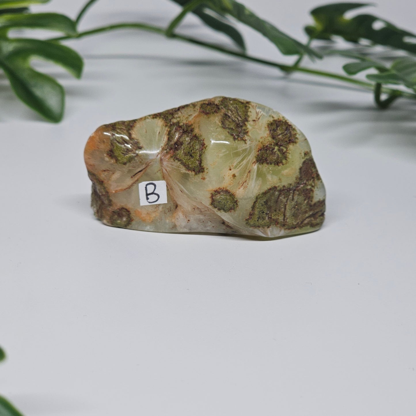 Prehnite Polished Slab | B