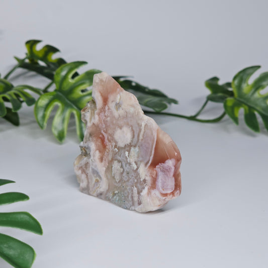 Flower Agate Polished Slab | A