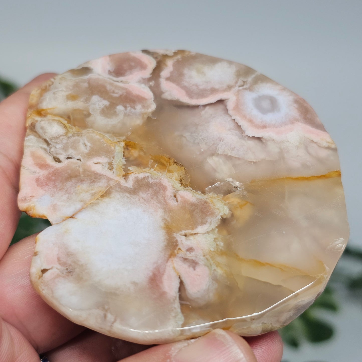 Flower Agate Polished Slab | B