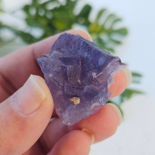 Raw Purple Fluorite Cluster Specimen