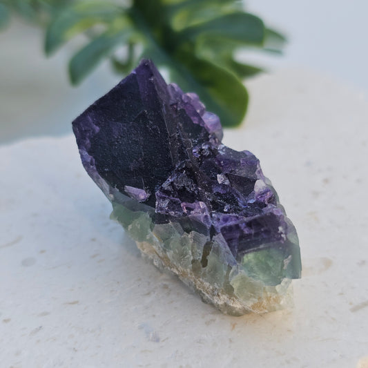 Raw Purple & Green Fluorite Cluster Specimen | Zhejiang, China
