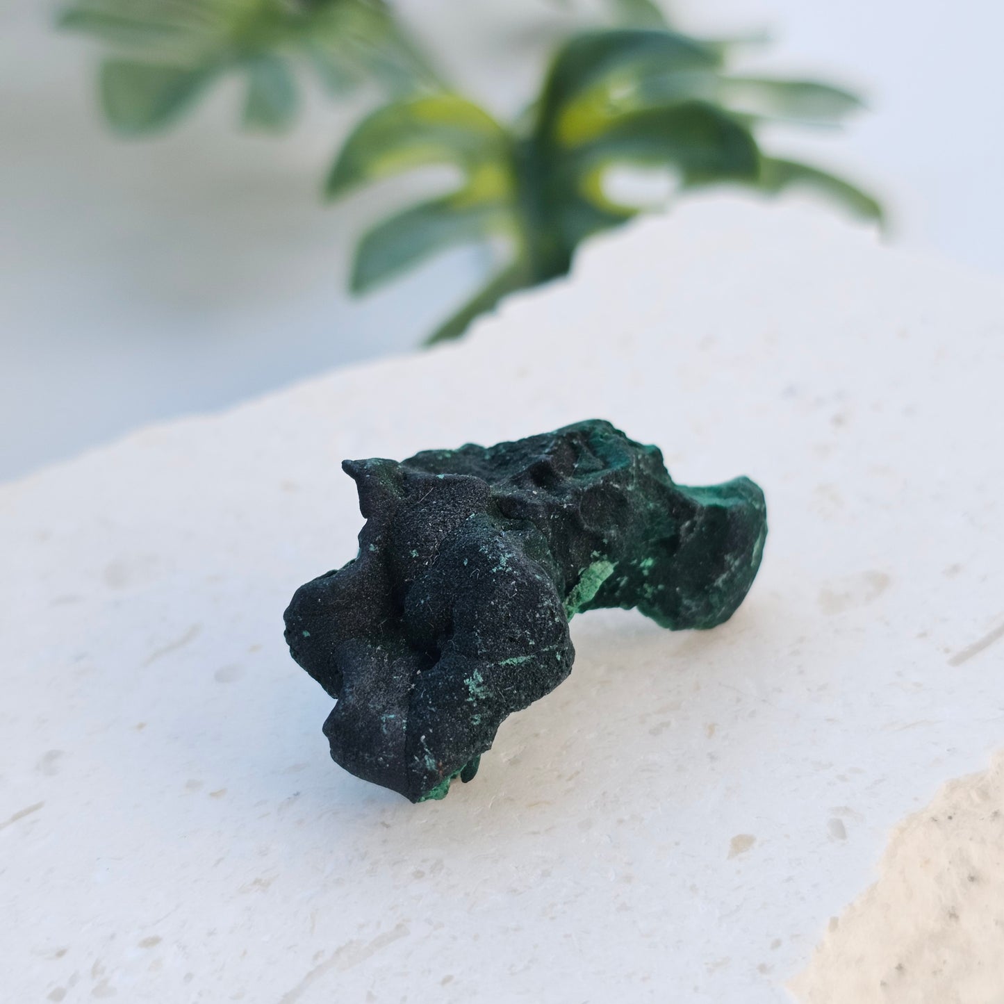 Raw Velvet Malachite | Specimen A | Guangdong, China
