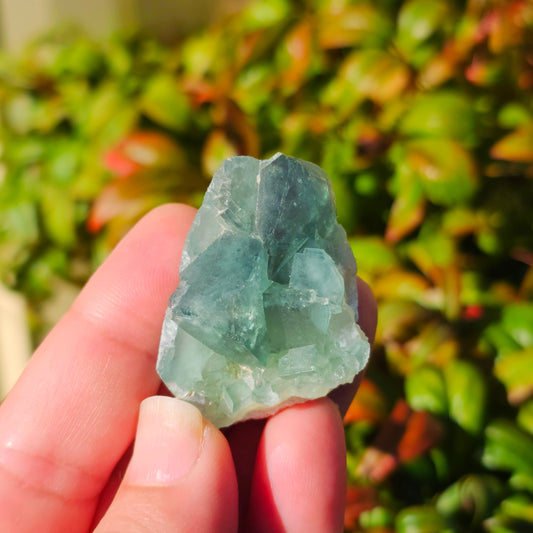 Colour-Change Fluorite on Matrix | Specimen A | Green to Blue Daylight Fluorite | UV Reactive | Madagascar