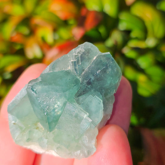 Colour-Change Fluorite on Matrix | Specimen A | Green to Blue Daylight Fluorite | UV Reactive | Madagascar