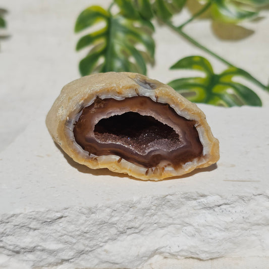 Brazilian Agate Geode (S-C)