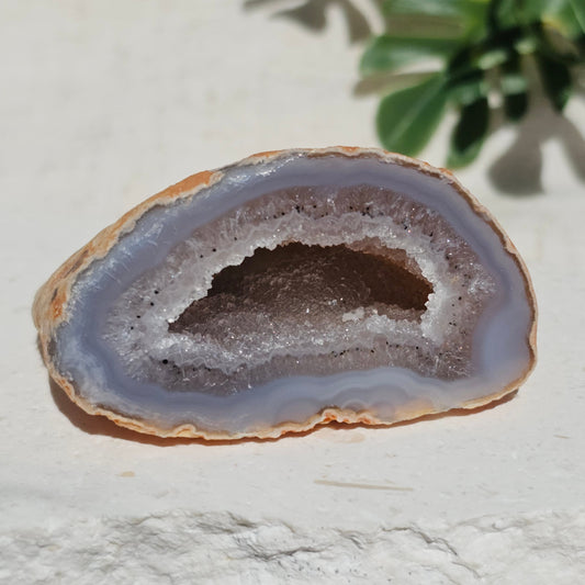 Brazilian Agate Geode (S-D)