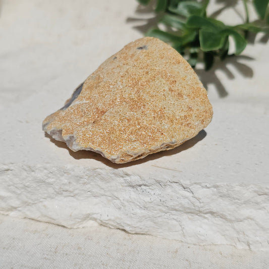 Brazilian Agate Geode (S-E)