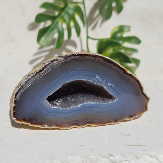 Brazilian Agate Geode (M-D)