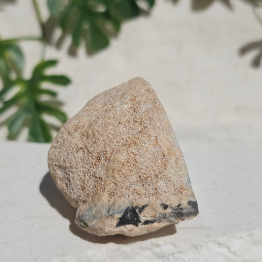 Brazilian Agate Geode (M-F)