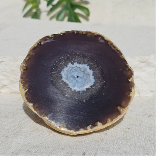 Brazilian Agate Geode (M-L)