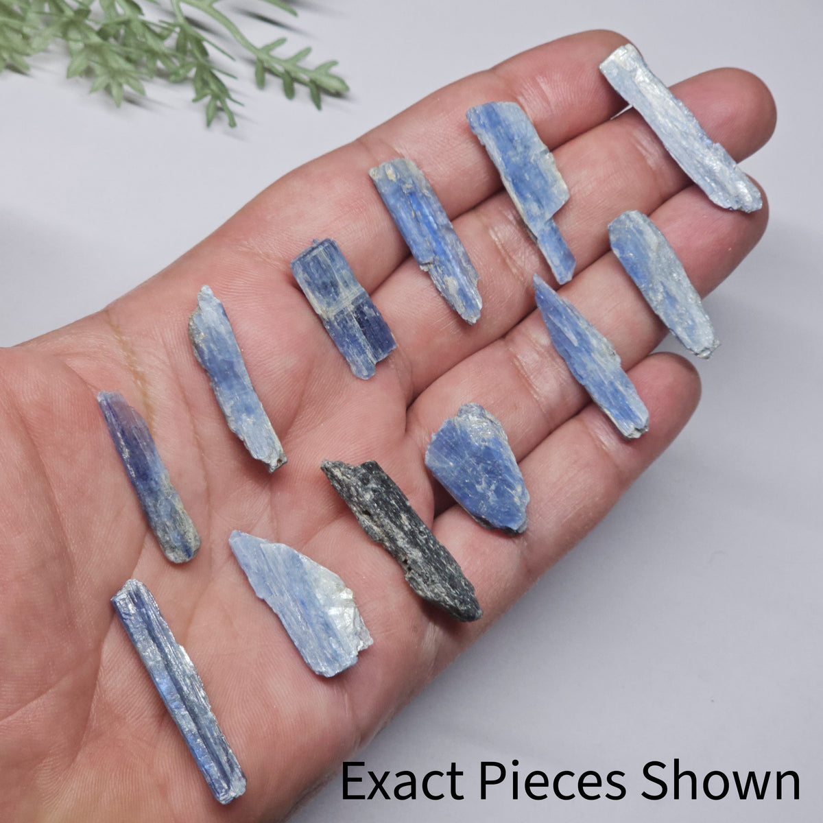 Raw Blue Kyanite | 12 Piece Mini Rough Crystal Pack (19g) Stone of Alignment