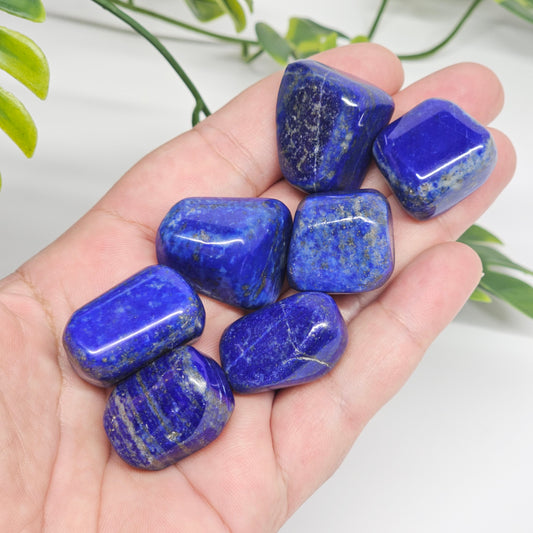 AA Grade Lapis Lazuli polished tumble stones displayed in palm, showcasing their deep blue tones, smooth polished finish, and natural Pyrite inclusions.