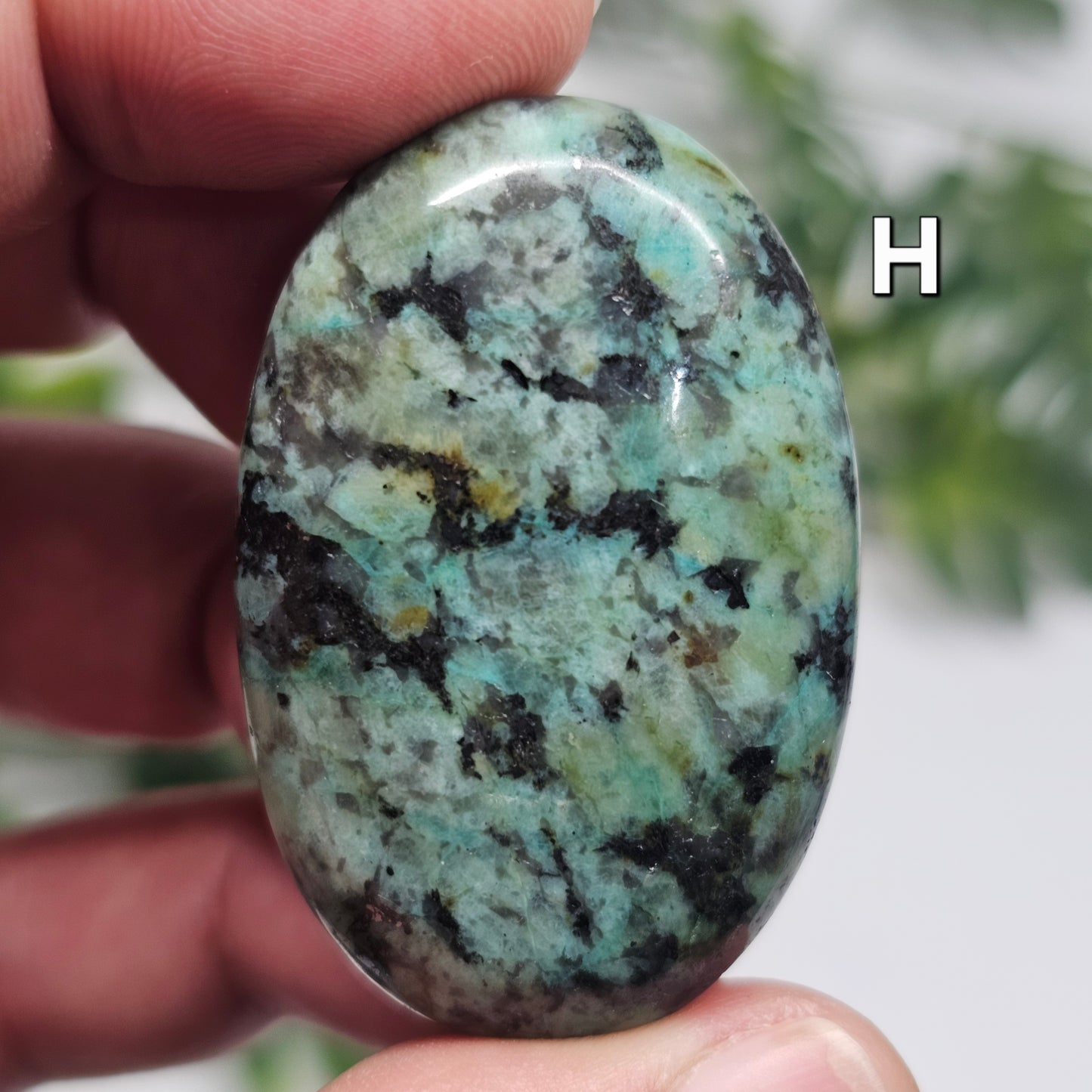 Reverse side of African Turquoise Palm Stone H, displaying its natural markings, colour variations, and polished finish.