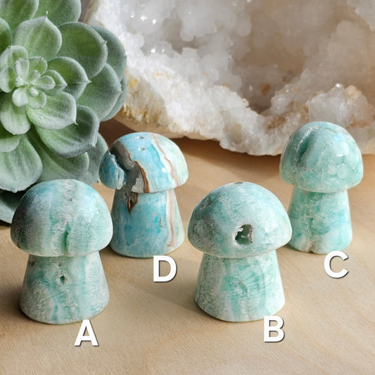 A set of Blue Aragonite mushroom carvings featuring soft ocean-blue tones and natural variation. Smooth polished forms symbolising grounding, calmness, and emotional balance.