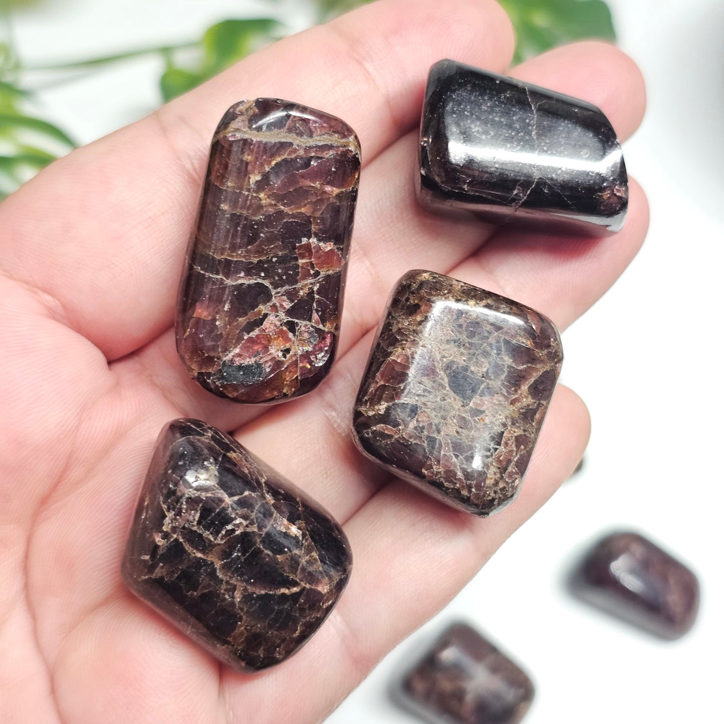 Multiple Garnet tumble stones held in hand, displaying a rich collection of deep red polished crystals with natural variations in tone and shape.