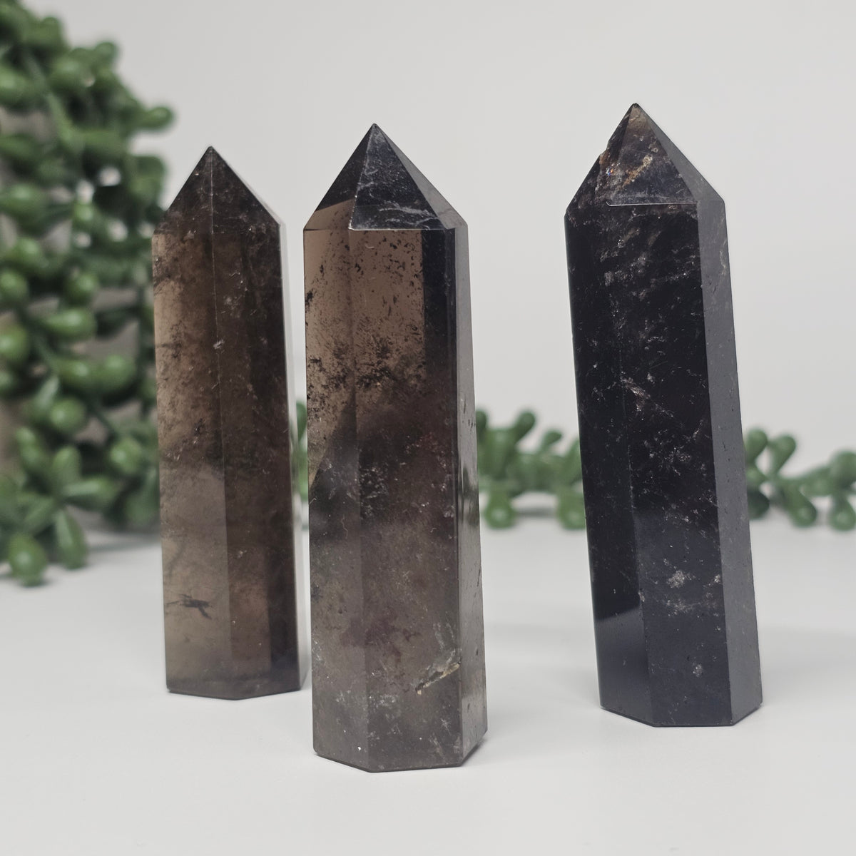 Translucent and Opaque Smoky Quartz towers displayed in an upright position