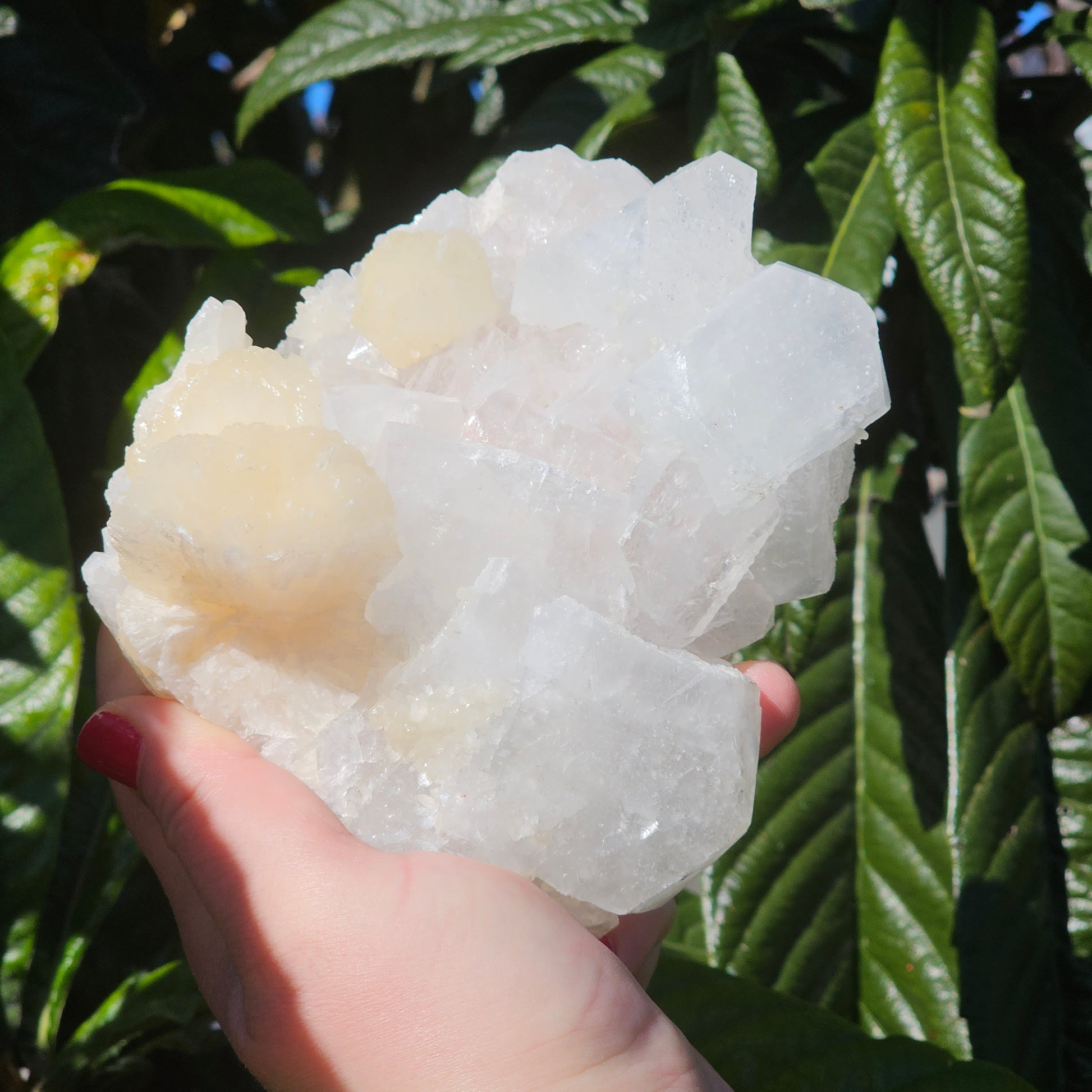 Apophyllite & Stilbite specimen with beautiful rainbows.  Approx. 7.5 x 13 x 12.5  Approx. 987g | Birthday Gifts, Anniversary Gifts, Valentine's Day, Christmas, Easter, Eid, Mother's Day, Diwali, Hannukah, Women's, Girl's, Gifts for her, Gifts for Girlfriend, Gifts for Mom, Gifts for Mum, Gifts for Friend, Handmade Gifts, Handmade Jewelry, New Year's Eve, Graduation, Boho, Hippie, Minimalist, Gemstone, Crystal, Crystal Healing