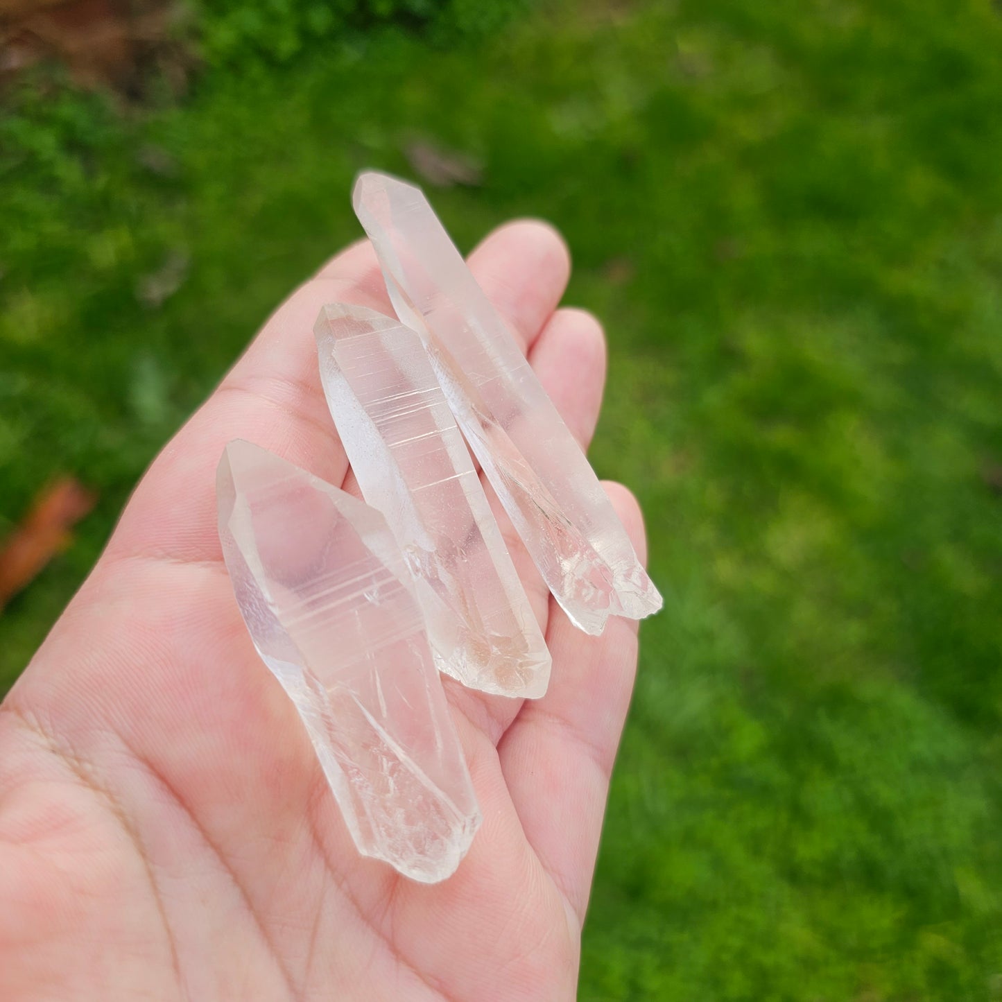 Lemurian Quartz Crystal Points