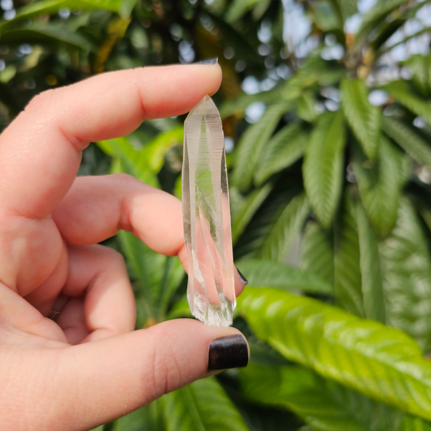 Lemurian Quartz Crystal Points