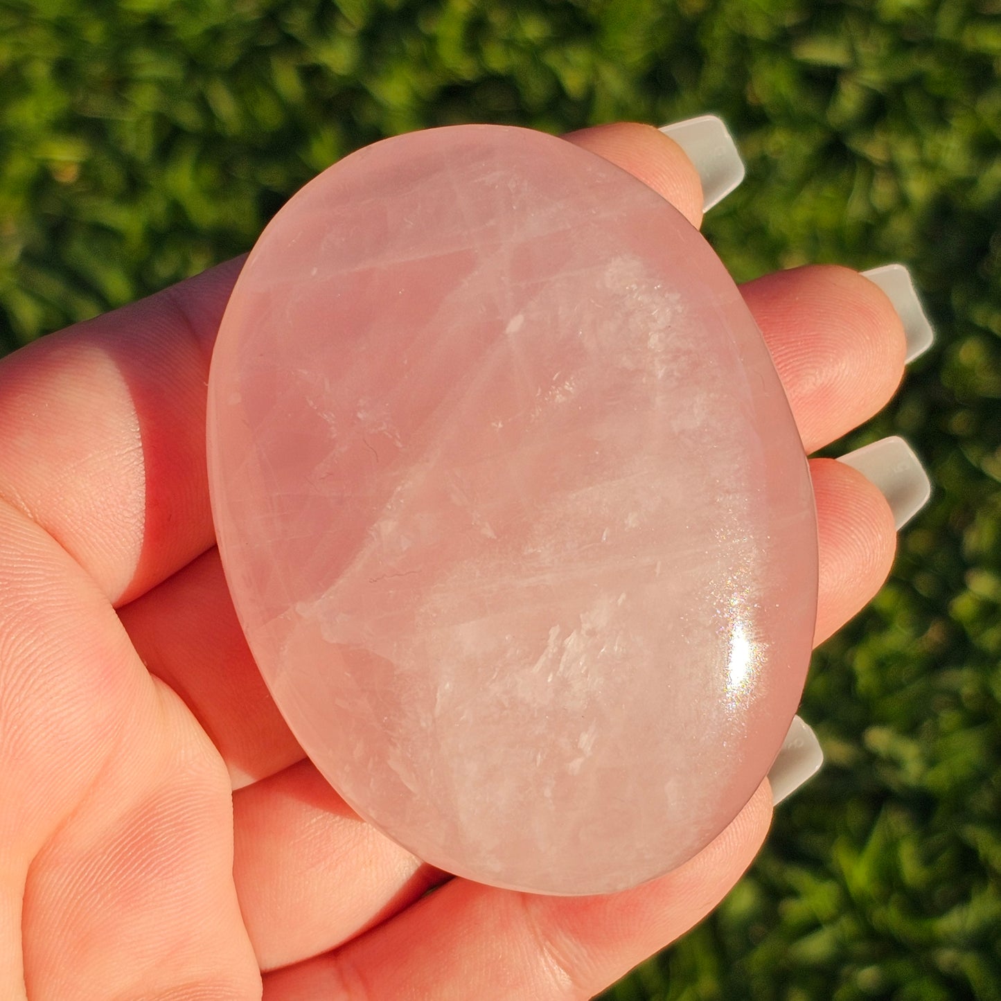 High Quality Large Rose Quartz Palm Stone With Vibrant Chatoyance (F)