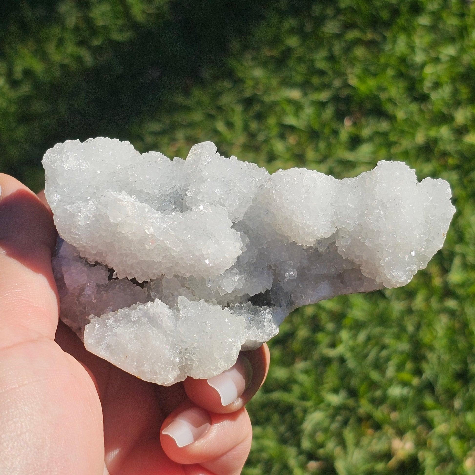 Sugar Apophyllite