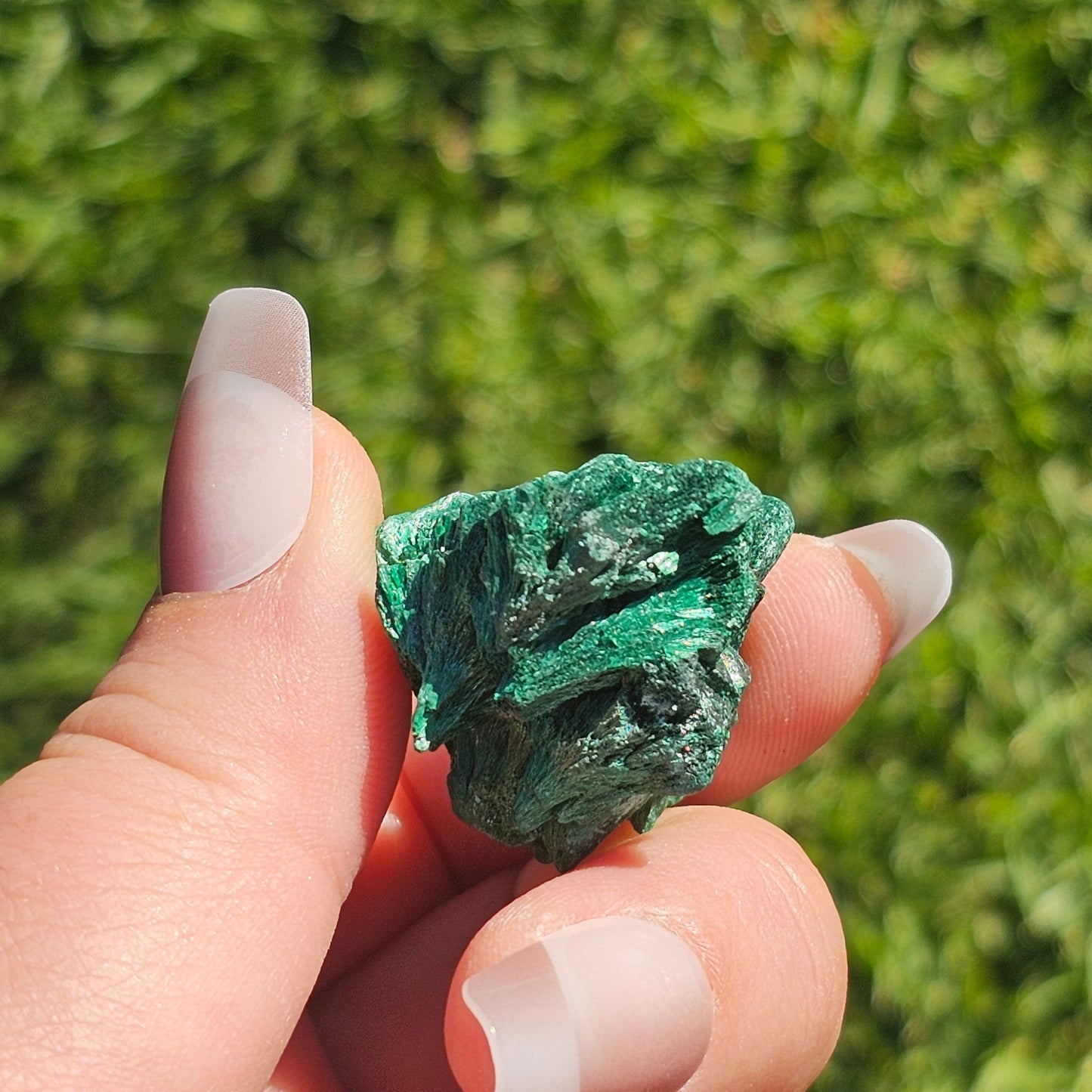 Fibrous Malachite