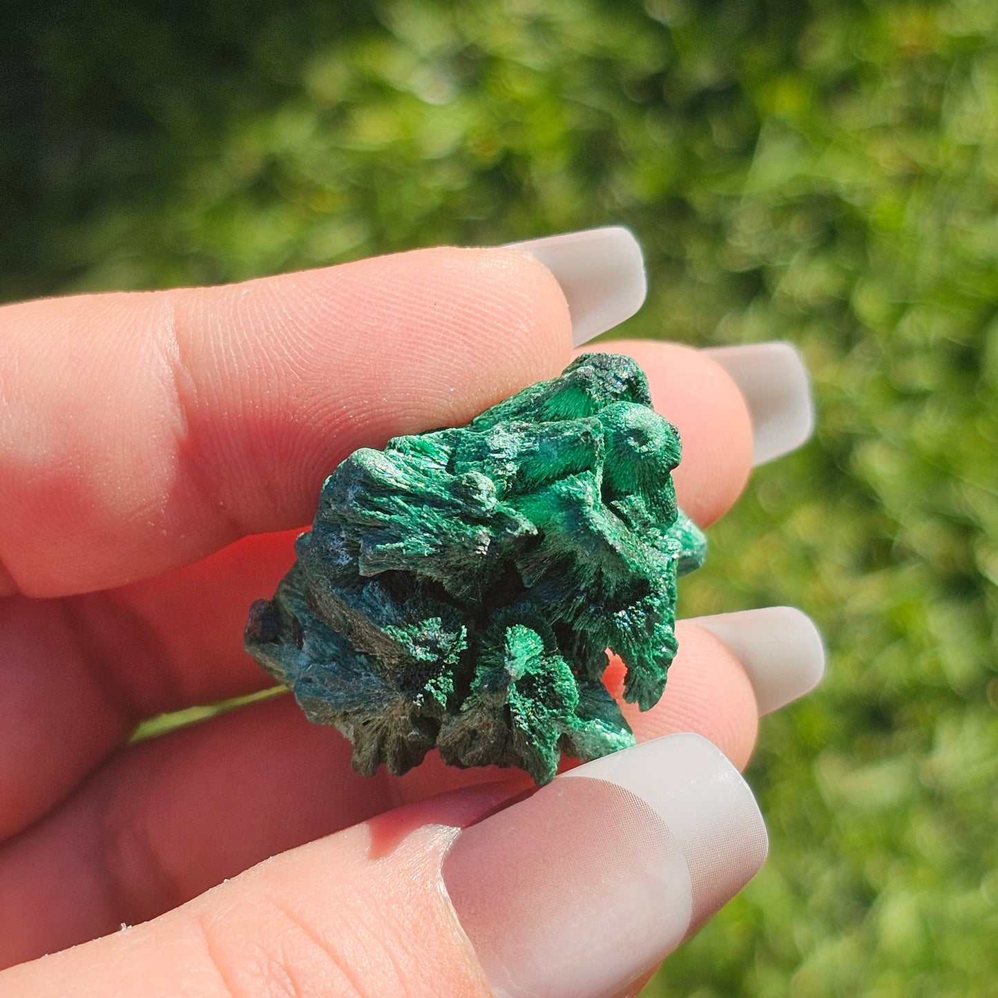 Fibrous Malachite