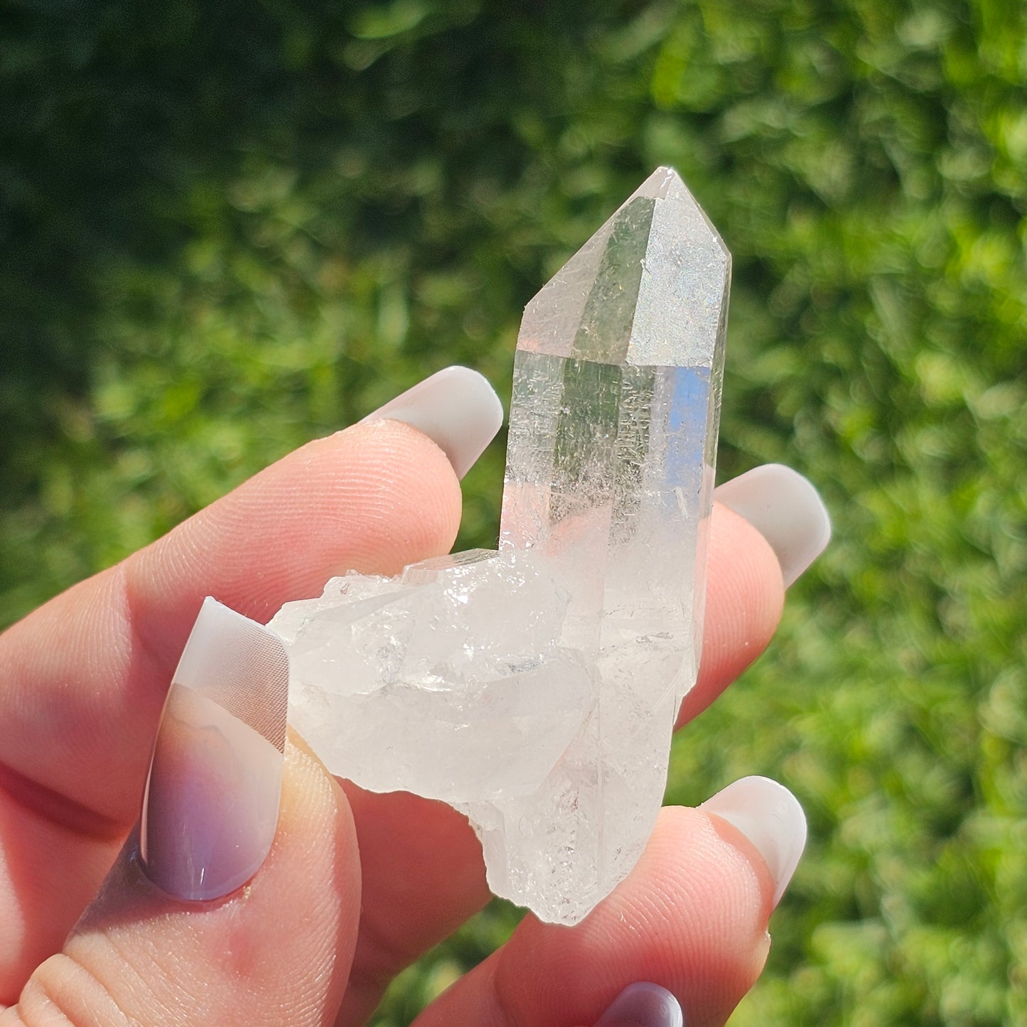 Clear Quartz Cluster (G)