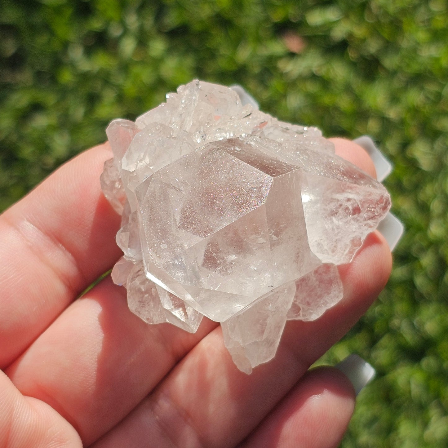 Clear Quartz Cluster (D)