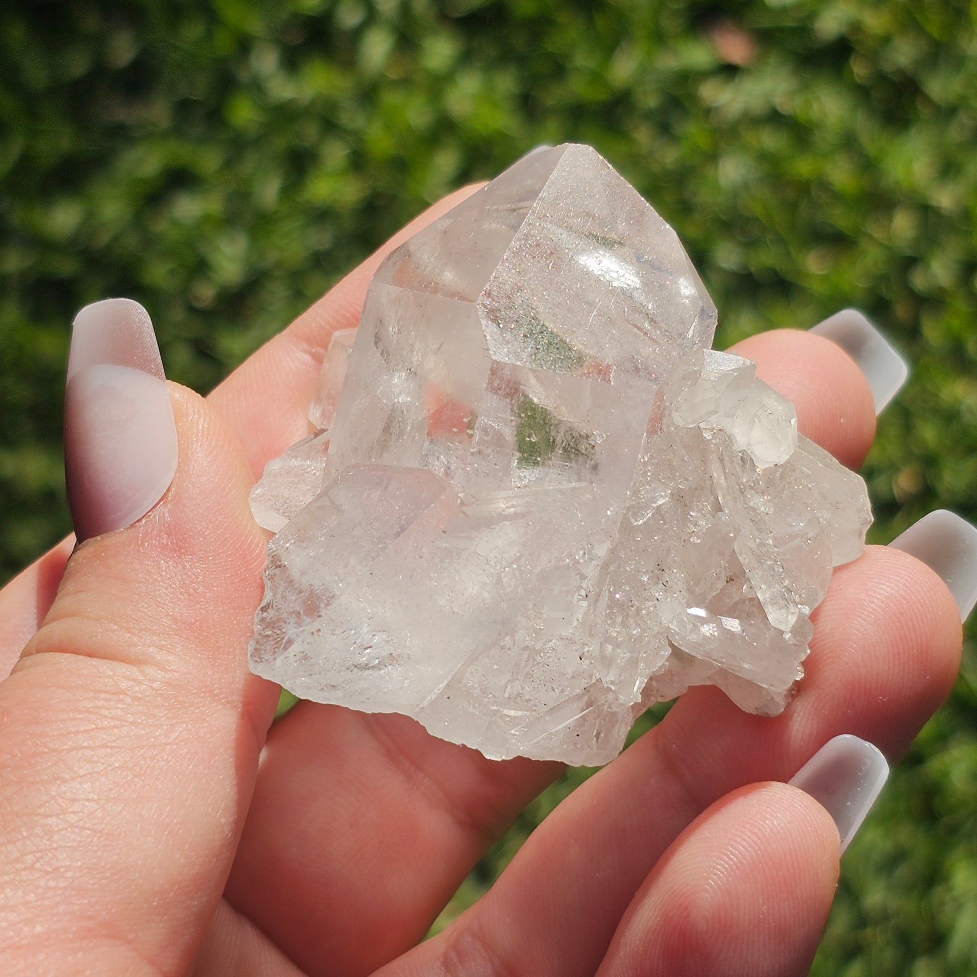 Clear Quartz Cluster (D)