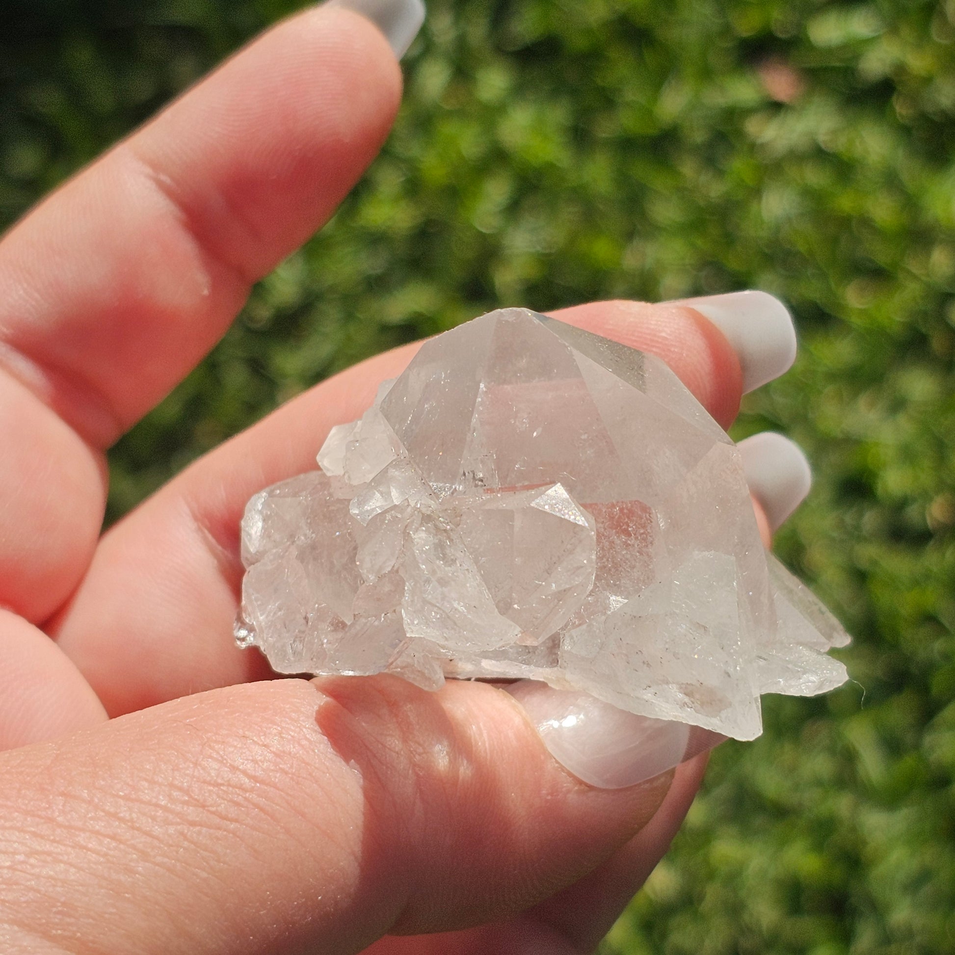 Clear Quartz Cluster (D)