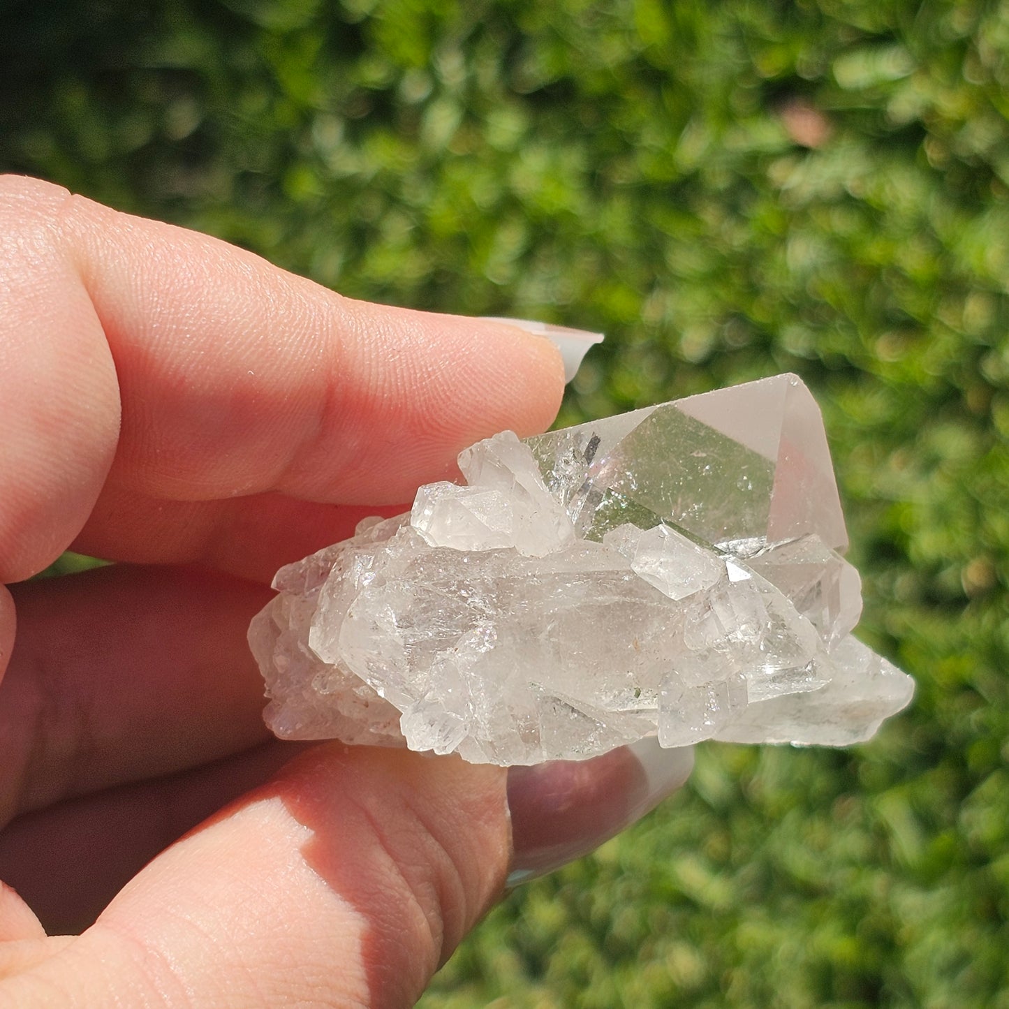 Clear Quartz Cluster (D)