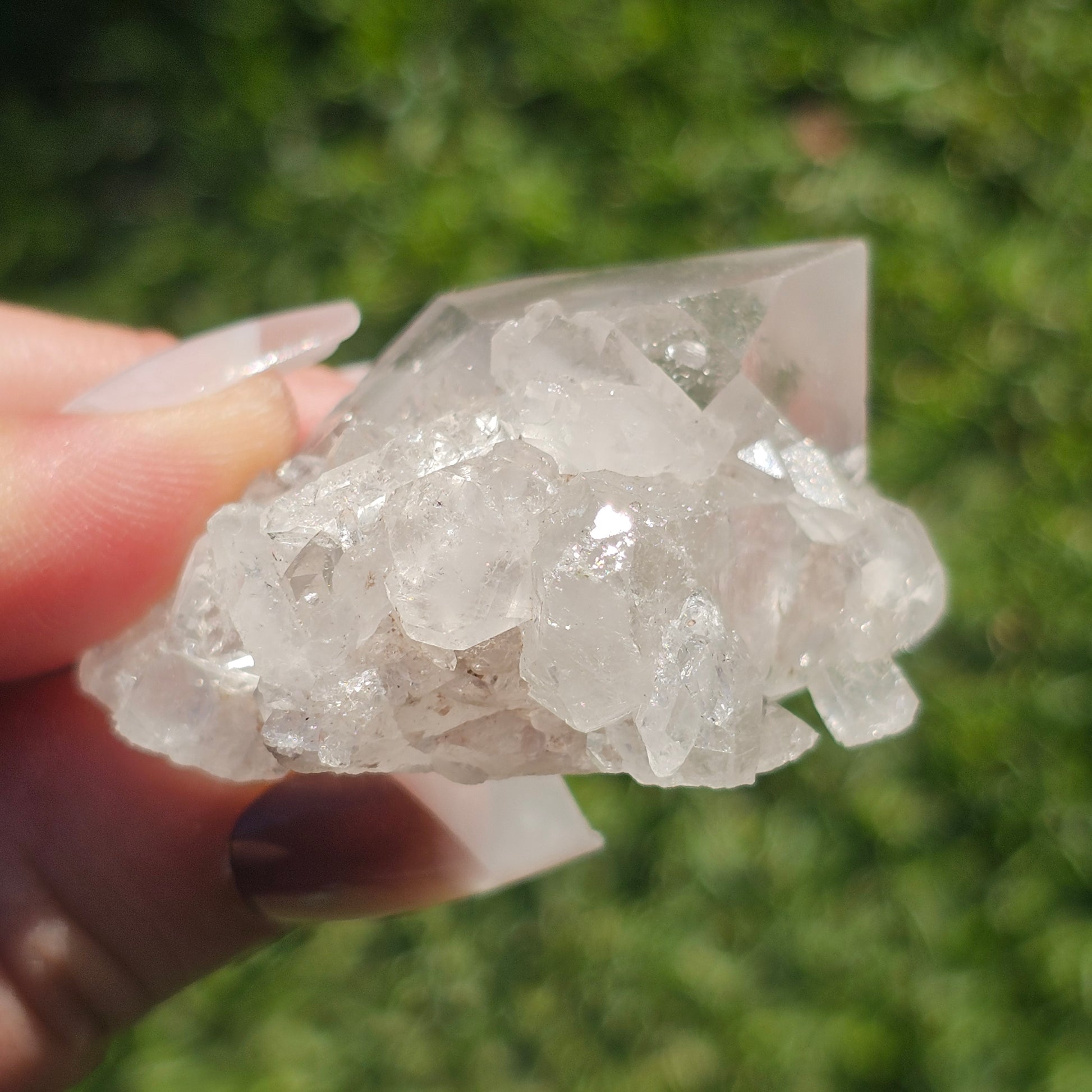 Clear Quartz Cluster (D)