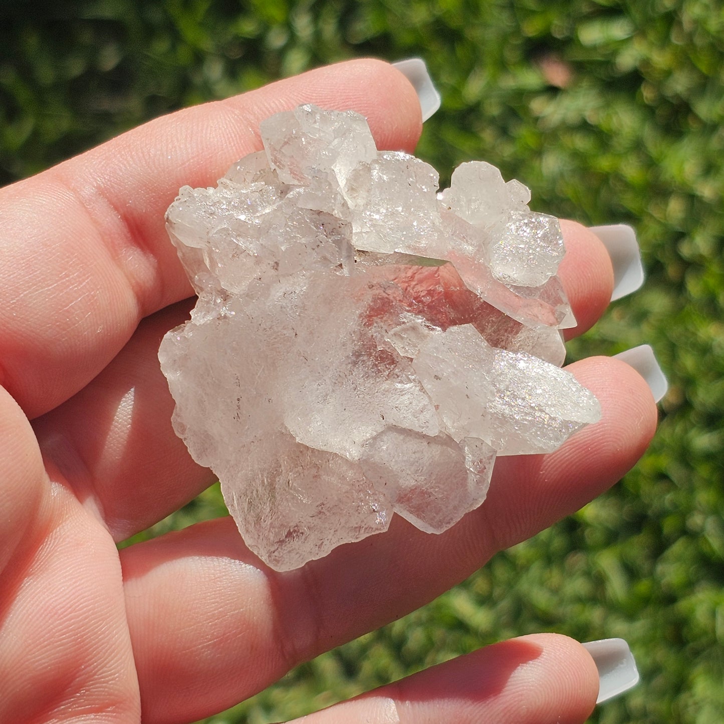 Clear Quartz Cluster (D)