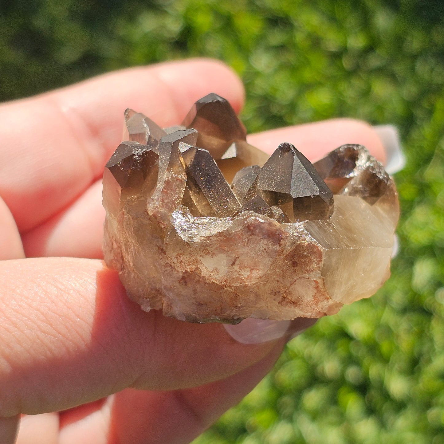 Smoky Quartz/Morion Quartz Cluster (A)