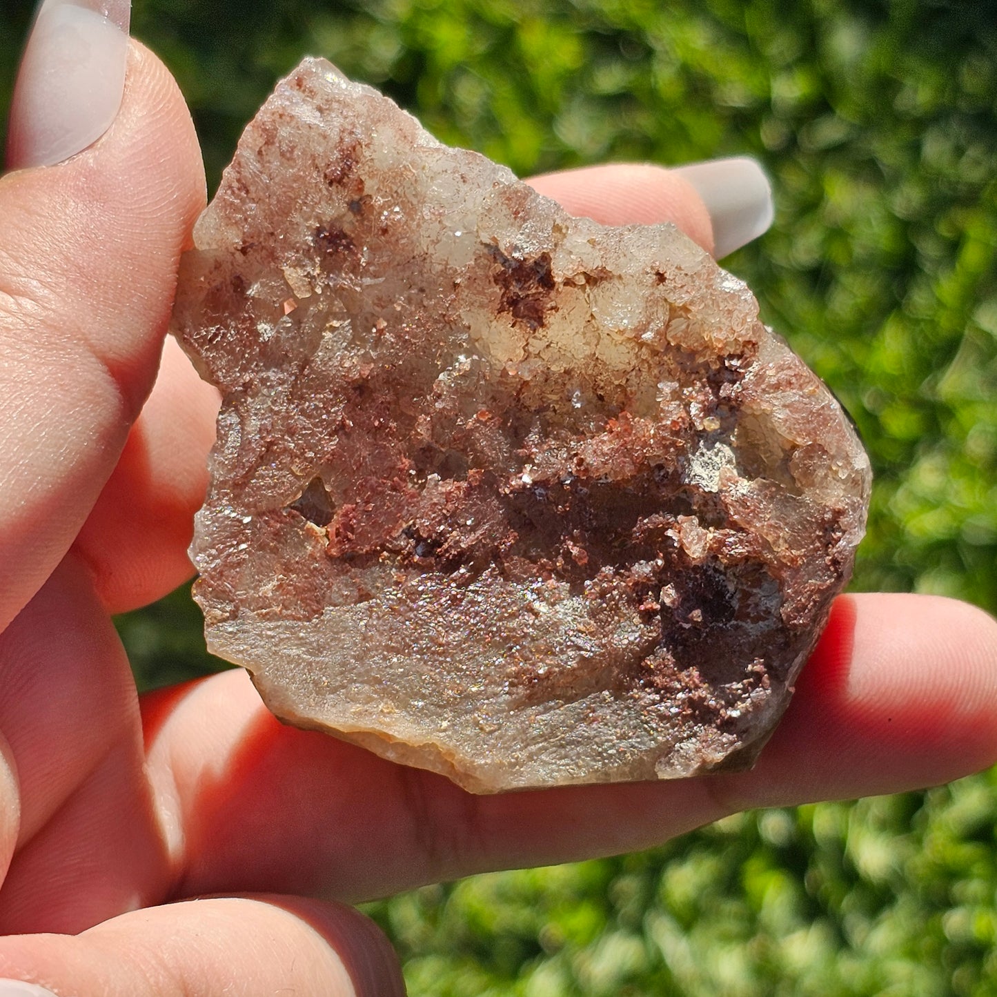 Smoky Quartz/Morion Quartz Cluster (A)