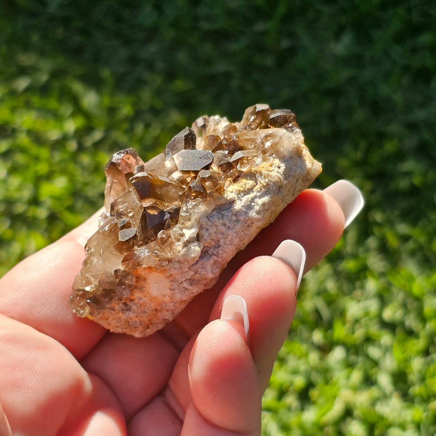 Smoky Quartz/Morion Quartz Cluster E