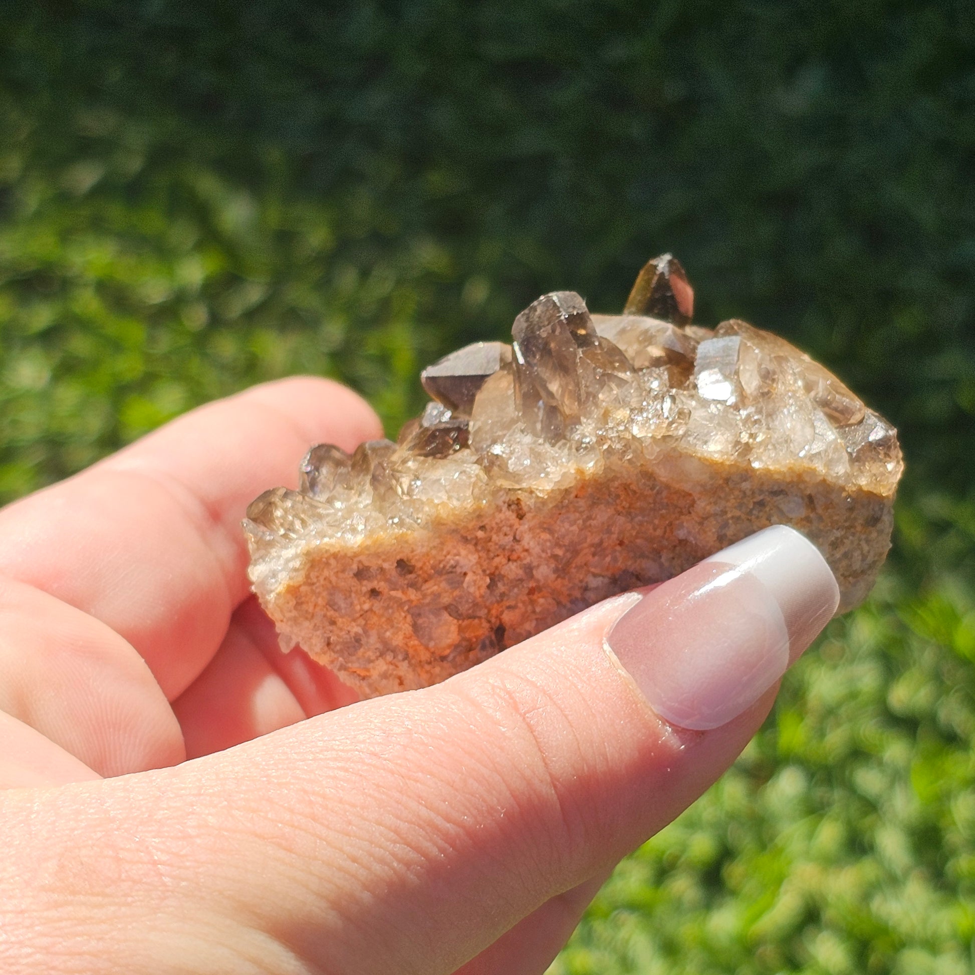 Smoky Quartz/Morion Quartz Cluster E