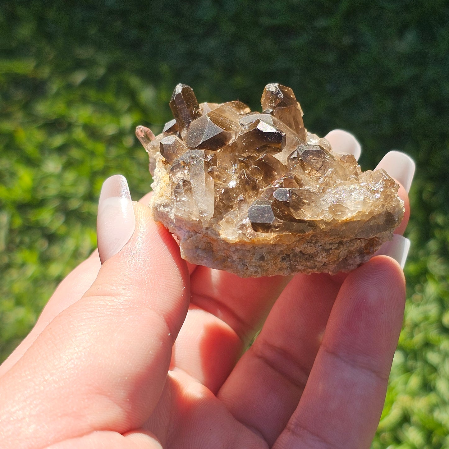 Smoky Quartz/Morion Quartz Cluster E