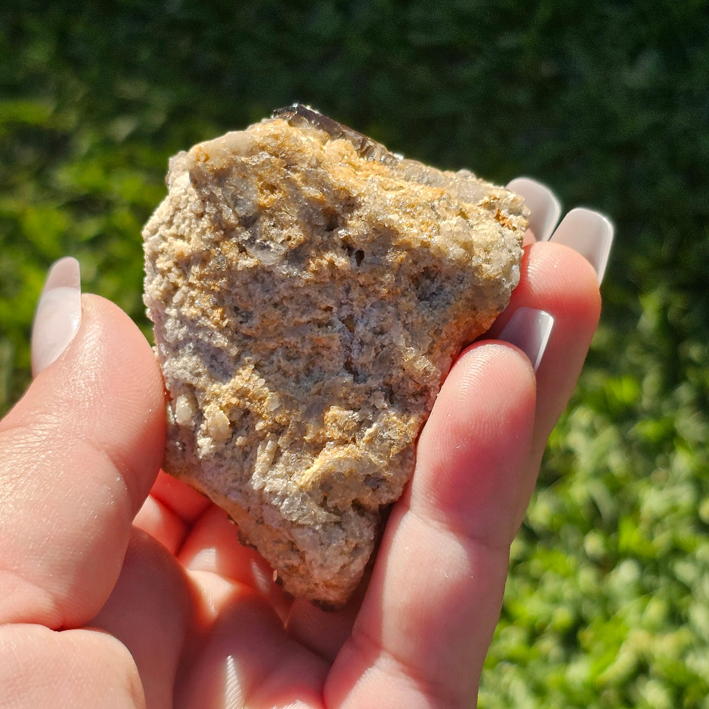 Smoky Quartz/Morion Quartz Cluster E