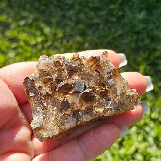 Smoky Quartz/Morion Quartz Cluster E