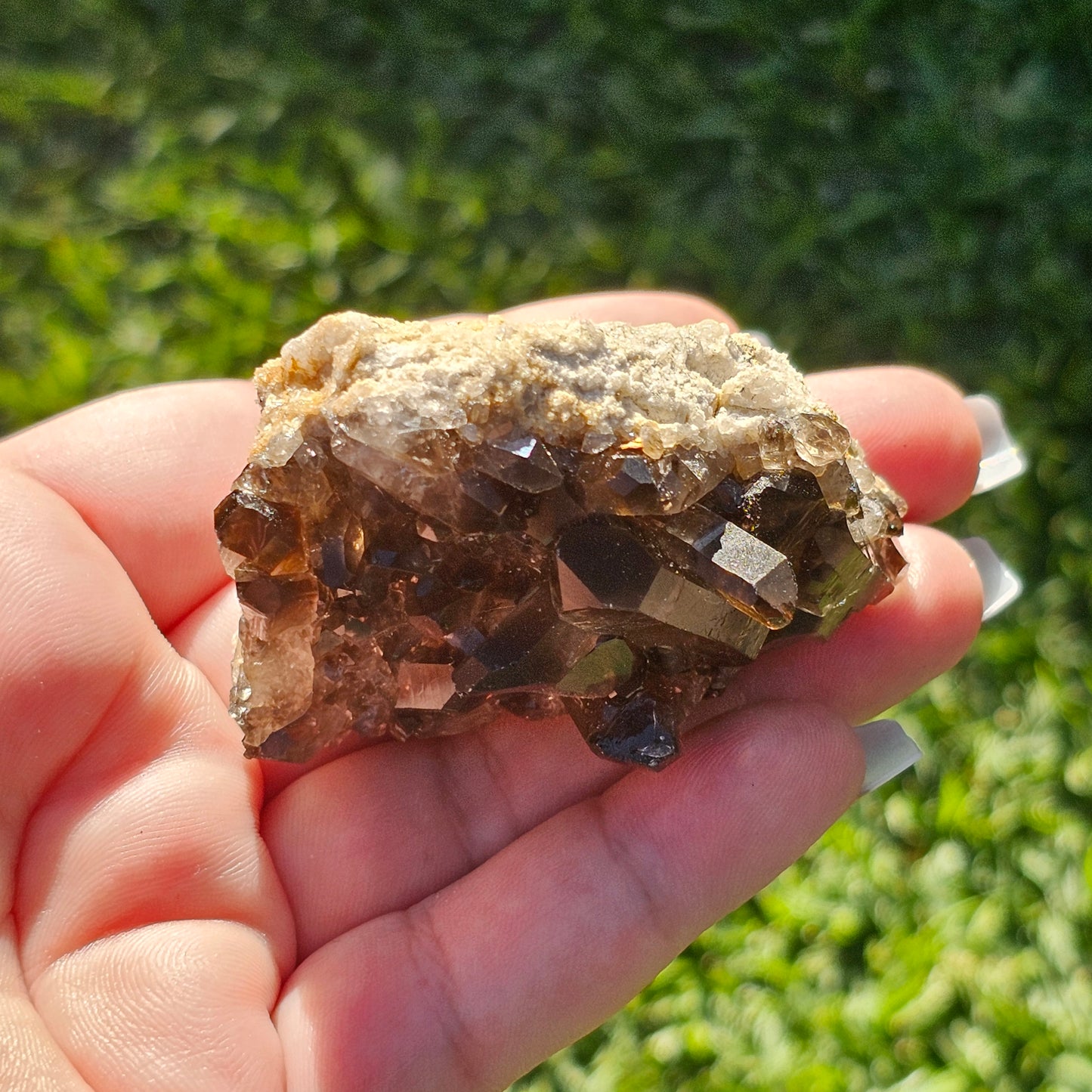 Smoky Quartz/Morion Quartz Cluster E