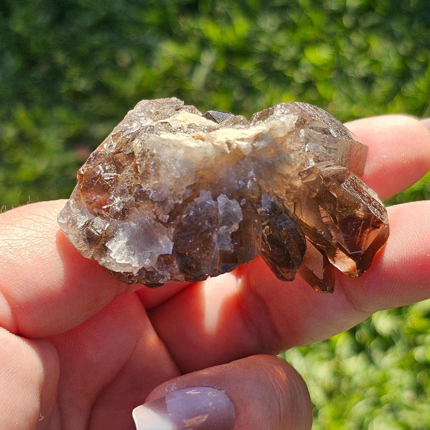 Smoky Quartz/Morion Quartz Cluster (C)