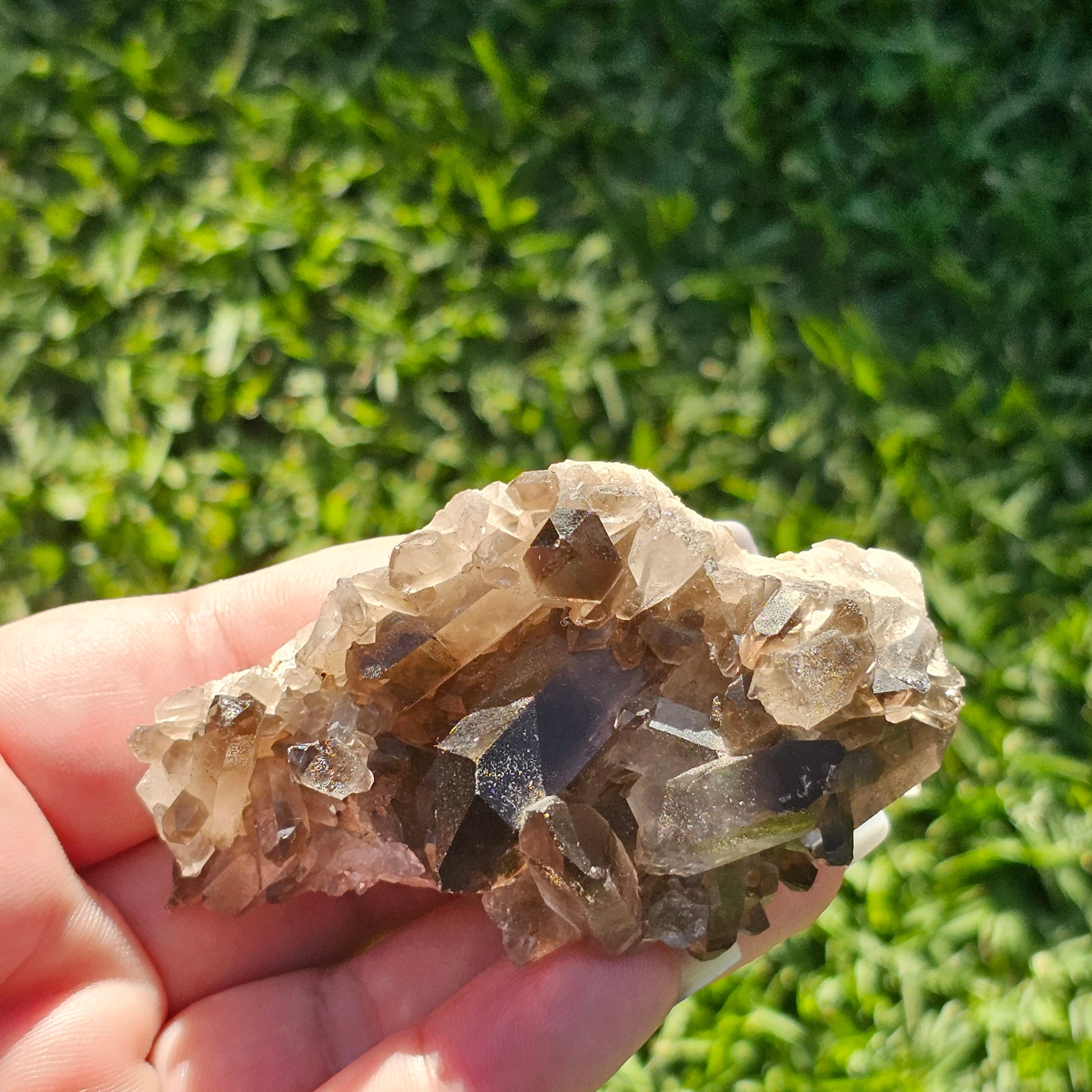 Smoky Quartz/Morion Quartz Cluster (D)