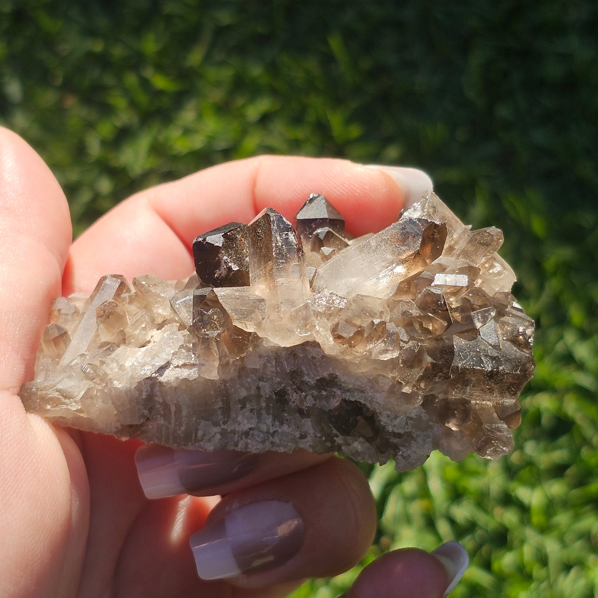 Smoky Quartz/Morion Quartz Cluster (D)