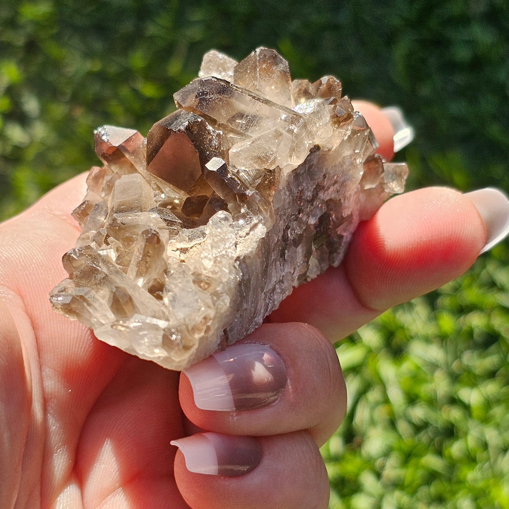 Smoky Quartz/Morion Quartz Cluster (D)