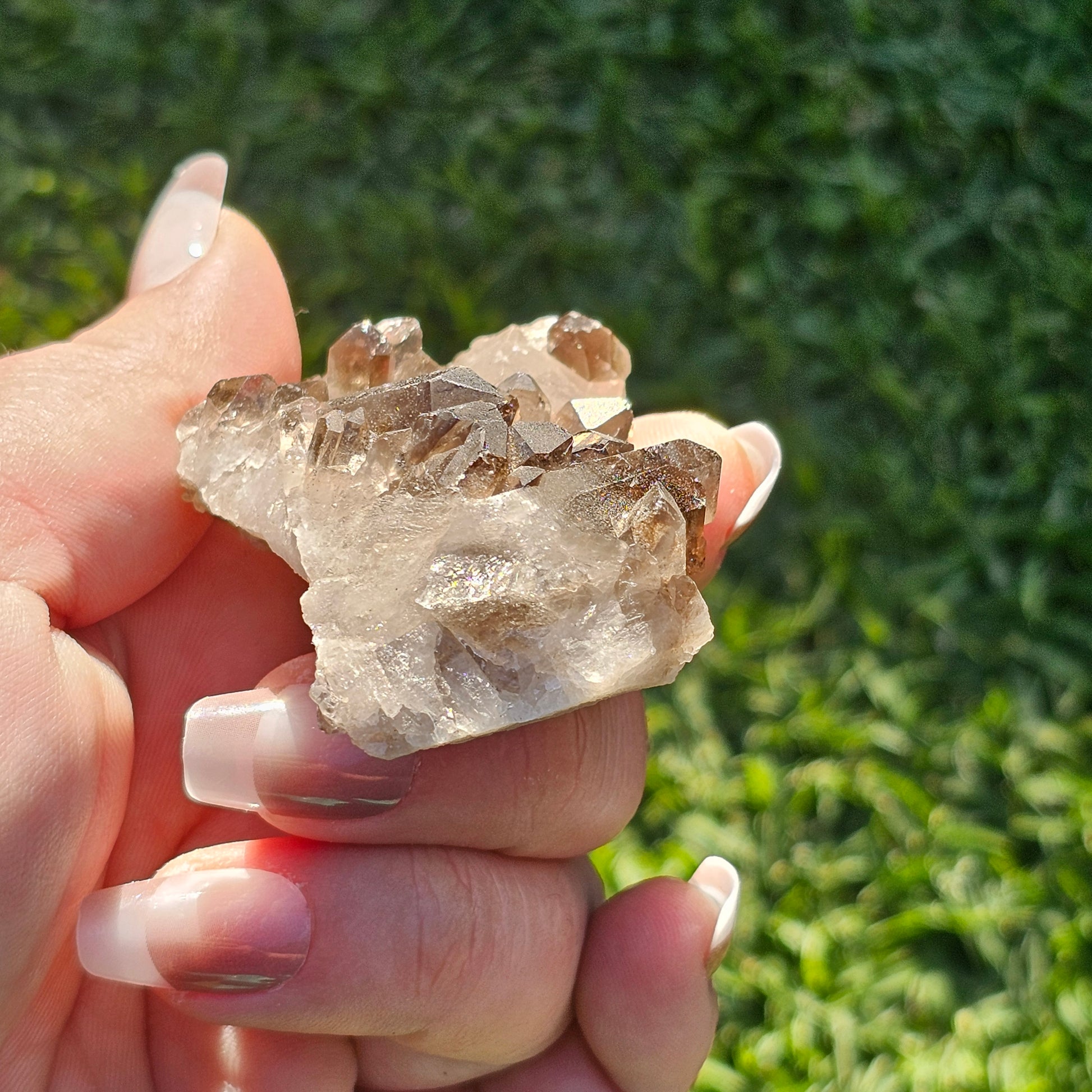 Smoky Quartz/Morion Quartz Cluster (B)