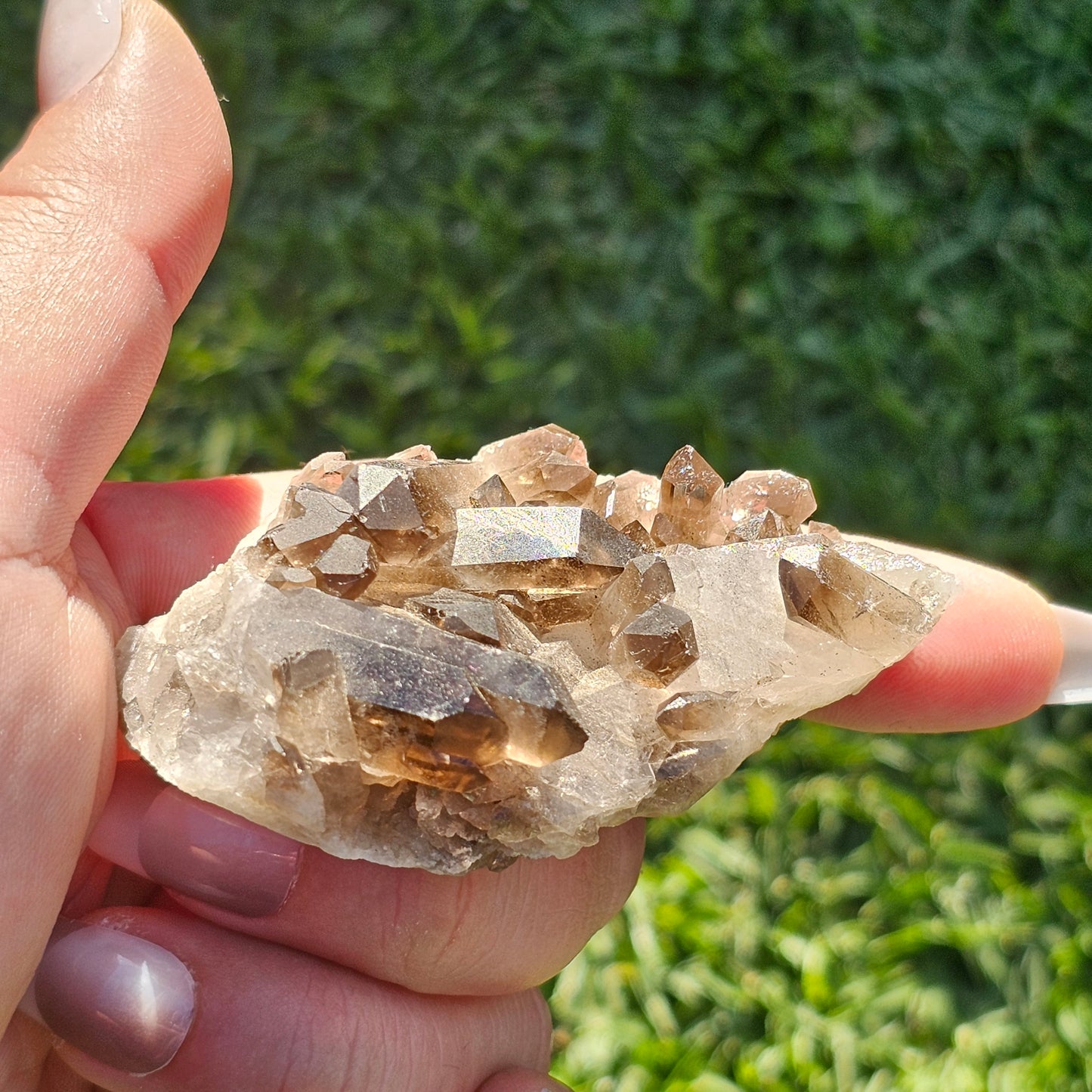 Smoky Quartz/Morion Quartz Cluster (B)